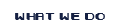 what we do.png